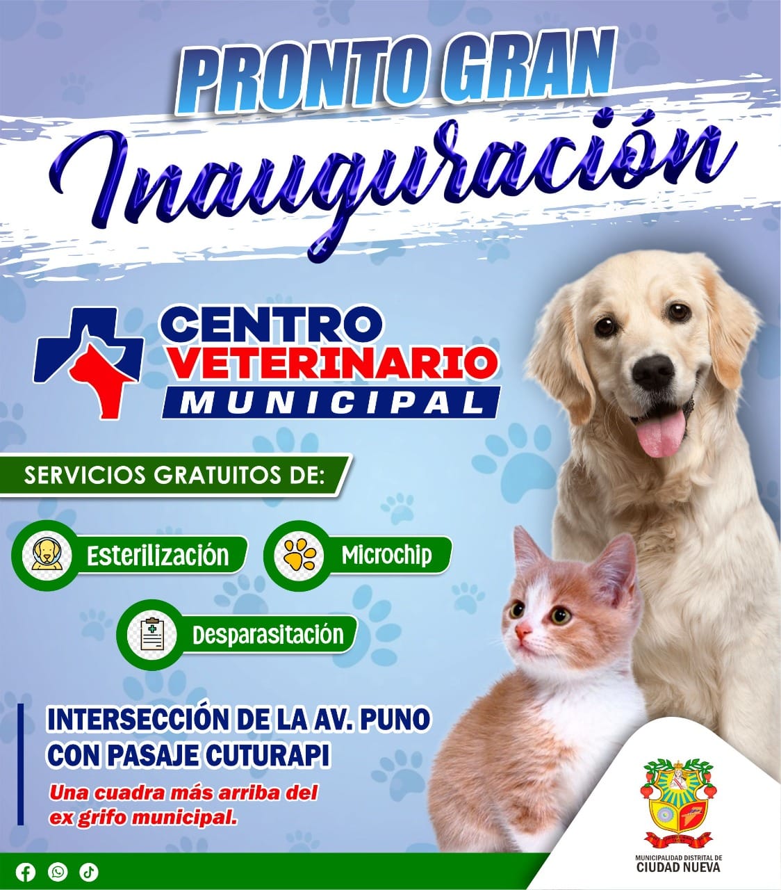 Sin Imagen