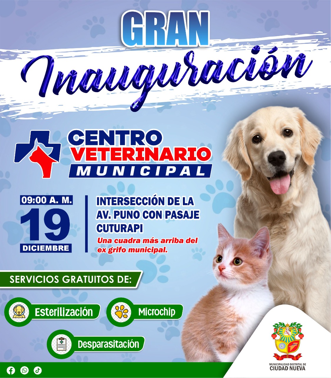 Sin Imagen