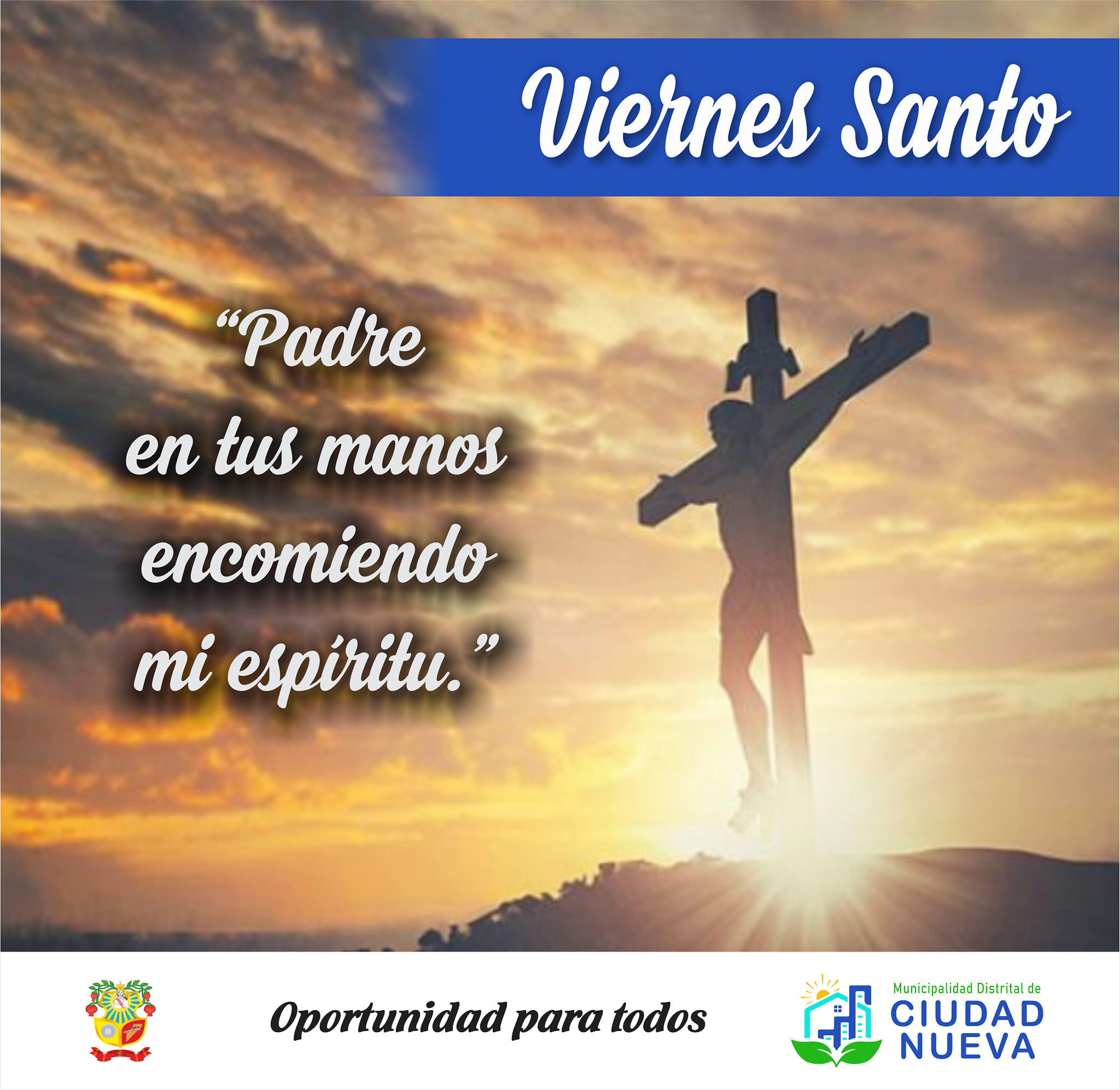 Sin Imagen