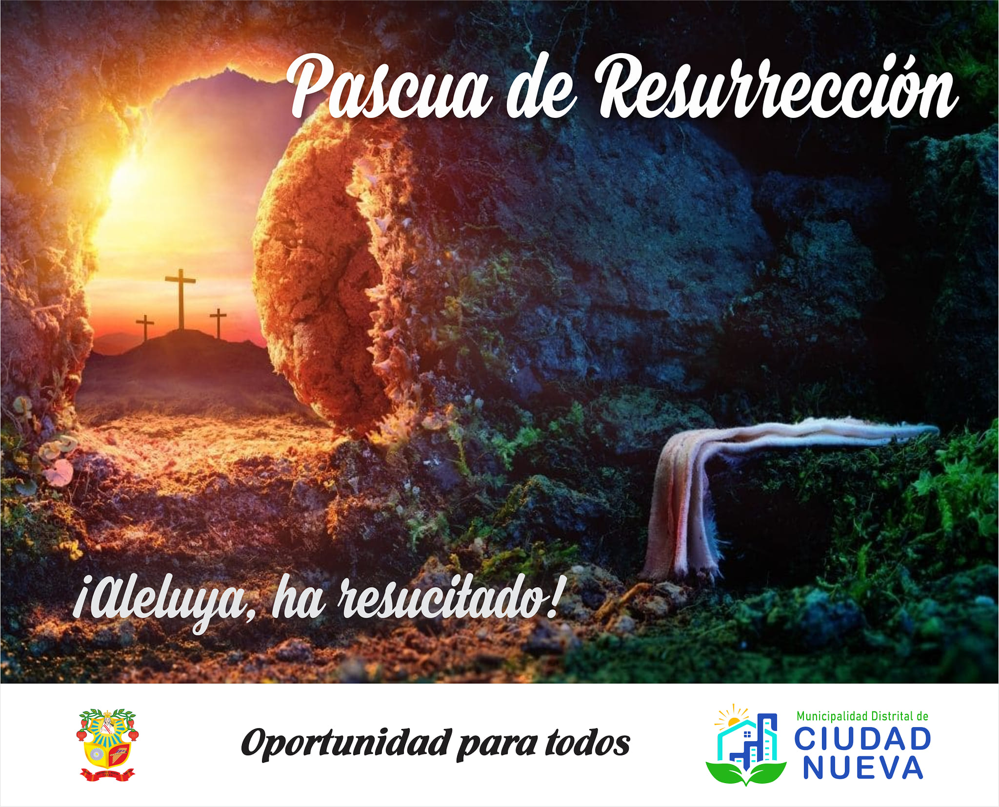 Sin Imagen